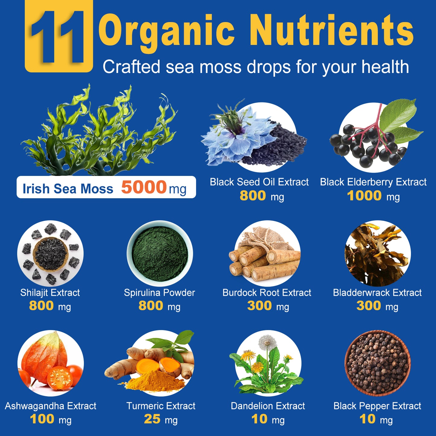 Sea Moss Liquid Drops, 11 in 1 Black Seed Oil & Irish Sea Moss Gel Ashwagandha Burdock Root, Spirulina, Bladderwrack, Elderberry for Joint, Digestion, Immunity Support, Non-GMO